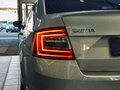 Daumennagel 9 - Skoda Octavia Elegance 1.8 TSI CANTON|4xSHZ|PDC|MFL|TEMPOMAT