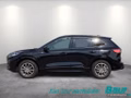 Daumennagel 3 - Ford Kuga 2.5 Duratec PHEV ST-LINE X