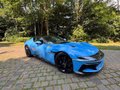 Daumennagel 6 - Ferrari 12 Cilindri  Azzurro le Castellet PaintedShields