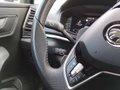Daumennagel 17 - Skoda Karoq 2,0TDI DSG 4x4 Navi/LED/Kamera/ACC/Winterp.