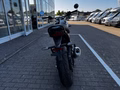 Daumennagel 5 - Triumph Speed 400 Roadster-Fahrwerk+ABS