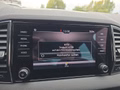 Daumennagel 29 - Skoda Karoq 1,6TDI DSG aAHK/Voll-LED/Navi/ACC/Kamera