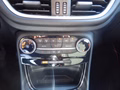 Daumennagel 17 - Ford Puma ST-Line