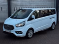 Daumennagel 2 - Ford Transit/Tourneo Custom 310 L2 Tourneo Titanium
