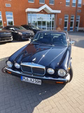 Daumennagel 2 - Jaguar Daimler Double Six Original 67.000Km