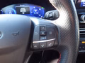 Daumennagel 14 - Ford Kuga Hybrid ST-Line aus 1. Hand