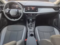 Daumennagel 10 - Skoda Kamiq Selection 1,0TSI DSG Kessy/Kamera/Temp/2-Z.Klimaaut. **