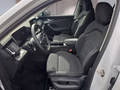 Daumennagel 9 - Skoda Kodiaq 2,0TDI DSG 4x4 aAHK/7-Sitzer/Matrix/Navi/el.Klappe **