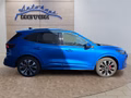 Daumennagel 6 - Ford Kuga ST-Line X 2,5 PHEV 20*Alu/AHK/Pano/Matrix/el.Klappe  **