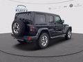 Daumennagel 5 - Jeep Wrangler Unlimited 2.2 CRD Sahara+SkyOneTouch+1.Hd.+BF-Goodrich AT