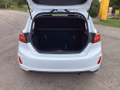Daumennagel 18 - Ford Fiesta 1.0 EcoBoost S&S TITANIUM Winter-Paket