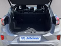 Daumennagel 10 - Ford Puma ST-Line X