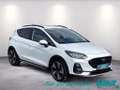 Daumennagel 2 - Ford Fiesta 1.0 EcoBoost S&S ACTIVE NAVI LED Winter
