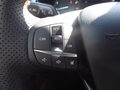 Daumennagel 12 - Ford Puma ST-Line