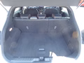 Daumennagel 8 - Ford Puma ST-Line X Aus erster Hand