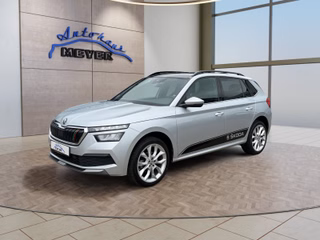 Skoda Kamiq Gebrauchtwagen Kaufen