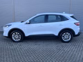 Daumennagel 5 - Ford Kuga Plug-In Hybrid Titanium