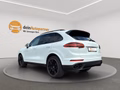 Daumennagel 7 - Porsche Cayenne S E-Hybrid Platnum Edition NAVI/LEDER/PANO/BI-XENON/RFK/LUFT