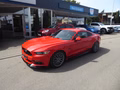 Daumennagel 1 - Ford Mustang GT Fastback aus 1. Hand