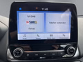 Daumennagel 15 - Ford EcoSport Cool & Connect