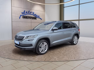 Skoda Kodiaq Gebrauchtwagen Kaufen