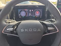 Daumennagel 24 - Skoda Kodiaq 1,5TSI DSG aAHK/7-Sitzer/Navi/ACC/el.Klappe