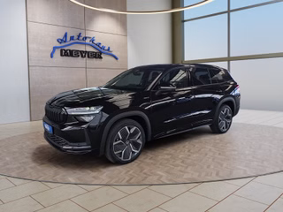 Skoda Kodiaq age.one-day registration Kaufen