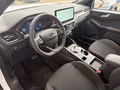 Daumennagel 10 - Ford Kuga ST-Line - Automatik - Navi - Kamera - AHK - Toter Winkel - Schnäppchen
