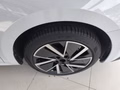 Daumennagel 15 - 2024 Skoda Octavia Combi 2.0 TDI 110 kW Sportline