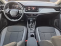 Daumennagel 10 - Skoda Kamiq Selection 1,0TSI DSG Kessy/Kamera/Temp/2-Z.Klimaaut.  **
