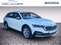 Daumennagel 2 - Skoda Octavia Combi Scout 4x4 2.0 TDI DSG AHK ACC Columbus Ergo-Sitze