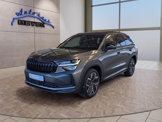 Skoda Kodiaq age.one-day registration Kaufen