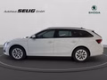 Daumennagel 11 - Skoda Octavia Combi 2.0 TDI DSG Selection, LED, PDC, ACC, Navi, AHK, ...