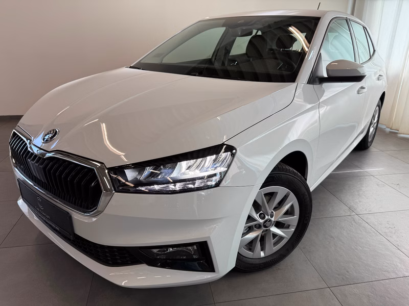 Skoda Fabia 1.0 TSI 130 JAHRE KAMERA SITZHEIZ 5J GARAN