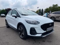 Daumennagel 4 - Ford Fiesta 1.0 EcoBoost Active Navi/RFK/LED/SZH