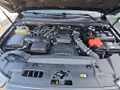Daumennagel 14 - Ford Ranger 2,0 l EcoBlue Autm. Raptor Standheizung