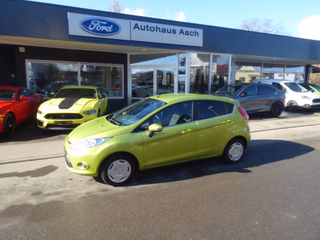 Ford Fiesta Gebrauchtwagen Kaufen