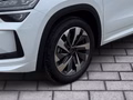 Daumennagel 6 - Skoda Kodiaq 2.0 TDI 142 kW 4x4 Sportline