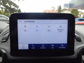 Daumennagel 20 - Ford Grand Tourneo Connect Titanium