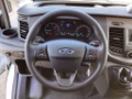Daumennagel 9 - Ford Transit 350 L3H3 Lkw VA Trend Hegla Glasstech