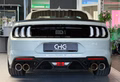 Daumennagel 6 - Ford Mustang Mach 1 MagneRide StylingPaket