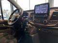 Daumennagel 13 - Ford Transit Custom Kombi 320 L1 Trend