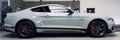 Daumennagel 4 - Ford Mustang Mach 1 MagneRide StylingPaket