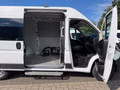 Daumennagel 9 - Peugeot Boxer Kasten Hochraum L2H2 Premium/Kamera/AHK
