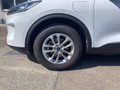 Daumennagel 7 - Ford Kuga Plug-In Hybrid Titanium X