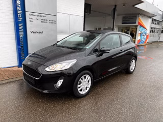 Ford Fiesta Gebrauchtwagen Kaufen