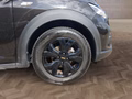 Daumennagel 14 - Dacia Jogger 1.0 TCe 110 Extreme+  Navi/Temp./Winterp.