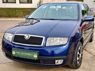 Skoda Fabia Gebrauchtwagen Kaufen