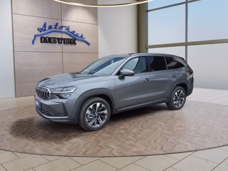 Skoda Kodiaq age.one-day registration Kaufen
