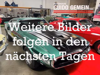 Ford Shelby Original GT-350 - foto 17